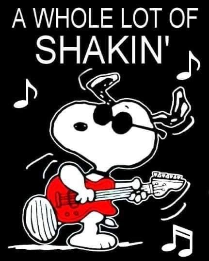 Matching Snoopy Pfp, Peanuts Pfp, Silly Snoopy, Cartoon Rugs, Singing Drawing, Charlie Brown Wallpaper, Snoopy Tattoo, Good Morning Snoopy, Music Cartoon