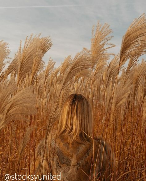 Tall Grass Aesthetic, Tall Grass Photoshoot, Tall Grass Field, Girl In Field, Nature Shoot, Grass Photography, Vintage Editorials, Outdoor Portrait, Fashion Model Poses