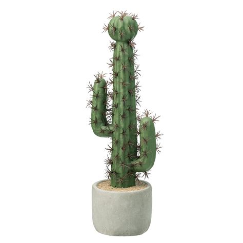 PRICES MAY VARY. A realistic 16 inch (including pot) faux cactus plant potted inside a round ceramic cement-inspired planter Instantly liven up any space; busy environments, workspace, home decor and so much more Artificial soil and needles add a realistic touch to this desert plant Since this cacti is artificial, it requires no watering, sunlight or soil Approximate Dimensions: Overall - 16 H x 4.9 W x 4 D; Planter - 3.5 H x 4 Diameter (in inches) Brighten up any space and bring the desert indo Fake Cactus, Cactus Plant Pots, Faux Cactus, Plant Home, Cement Planters, Southwest Decor, Cactus Plant, Desert Plants, House Plant