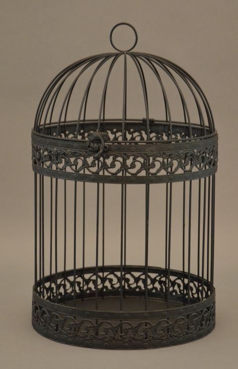 another bird cage Open Cage Drawing, Person In Bird Cage, Beautiful Bird Cage, Ornate Bird Cage, Bird Cage Reference, Cages For Birds, Cage Reference, Bird Cage Drawing, Cage Aesthetic