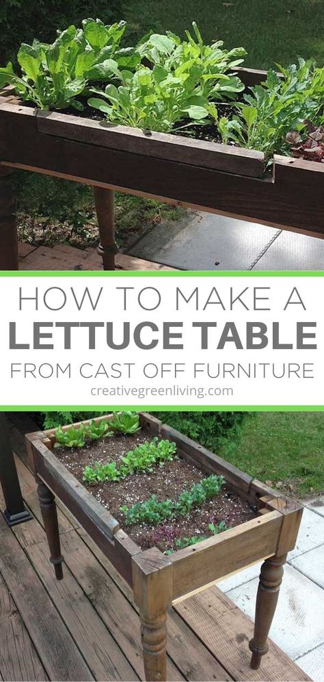 Lettuce Table, Lettuce Garden, Jardim Diy, Growing Lettuce, Fleurs Diy, Diy Raised Garden, Raised Garden Beds Diy, Garden Junk, Meteor Garden 2018