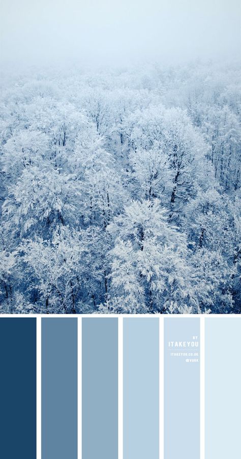 Blue Winter Colour Palette { Shades Of Blue Colour Scheme } Blue Shades Colors, Powder Blue Color, Wedding Readings, Winter Color Palette, تصميم للمنزل العصري, Color Schemes Colour Palettes, Blue Palette, Blue Color Schemes, Blue Colour Palette