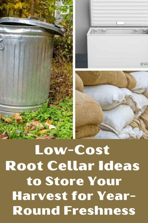 Low Cost Root Cellar Ideas to Store Your Harvest for Year-Round Freshness Diy Small Root Cellar, Small Root Cellar Ideas, Mini Root Cellar, How To Build A Cellar, Diy Root Cellar Cheap, Diy Root Cellar In Garage, Root Cellar In Garage, How To Make A Root Cellar, How To Build A Root Cellar