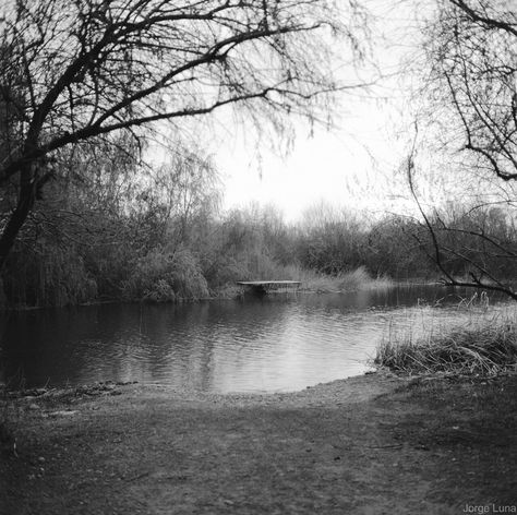 Creepy lake Horror Landscape Photography, Creepy Lake, Horror Moodboard, Eerie Landscape, Itchy Legs, Lake House Aesthetic, African American Romance Books, White Harbor, Haunted Houses In America