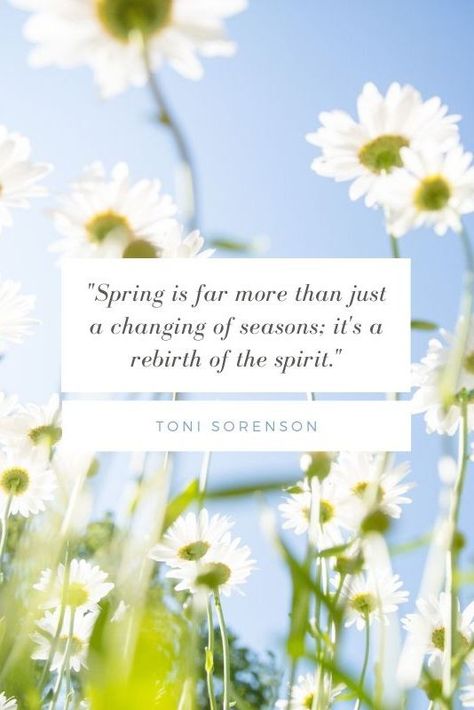 Springtime Quotes, Russian Proverb, Southern Phrases, Green Traffic Light, Margaret Elizabeth, Gustav Mahler, George Santayana, Spring Quotes, Joy Quotes