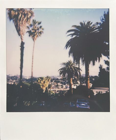 Highland Park, Los Angeles by Tyler Patterson #polaroid #vintagepolaroid #la #vintagela #residencydesignjournal Highland Park Los Angeles, Class Presentation, Cover Inspiration, Chateau Marmont, Vintage Polaroid, Highland Park, Palm Trees, Album Covers, Presentation