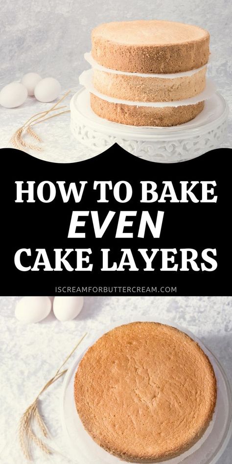 Image of cake layers with text overlay. Six Layer Cake, How To Make Flat Cake Layers, Double Layer Cake Recipes, Even Cake Layers How To Get, How To Make A 3 Layer Cake Birthday, How Many Layers In A Tiered Cake, How To Make Even Cake Layers, Flat Cake Layers How To Get, How To Level Cake Layers