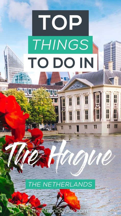 top things to do in the hague netherlands guide #hague #netherlandstravel #europe #thingstodo #travelguide #traveltips #bucketlist #destinations #travel #holland Netherlands Travel Destinations, Travel Holland, Travel Phrases, Digital Photography Lessons, The Hague Netherlands, Destinations Travel, Netherlands Travel, Amsterdam Travel, Photography Lessons