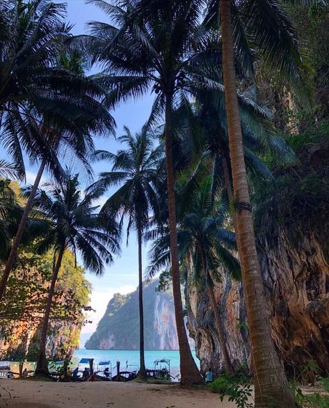 THAILAND🇹🇭 on Instagram: “LIFE IS THE GREATEST JOURNEY YOU WILL EVER BEEN ON. | #LostinThailand 🇹🇭 ⠀ 📍Koh Lao Lading - Krabi, Thailand ⠀ 📱by @explorer1.0 ⠀⠀⠀⠀⠀⠀⠀⠀ ⠀…” Greatest Journey, Thailand Vacation, Krabi Thailand, Ao Nang, Krabi, Instagram Life, Globe Trotter, Phuket, Beautiful Destinations