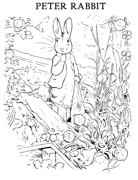 Strangers & Pilgrims on Earth: Gardening with Peter Rabbit ~ Precious Playtime Rabbit Coloring, Beatrix Potter Illustrations, Beatrice Potter, Peter Rabbit Party, Peter Rabbit And Friends, Rabbit Colors, Paper Toy, Beatrix Potter, Peter Rabbit