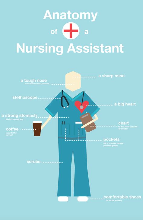 Anatomy of a nursing assistant infographic Nursing Anatomy, Cna Quotes, Cna Humor, Nursing Goals, Nursing School Motivation, Cna Nurse, Medical Jobs, Med School Motivation, Serve Others