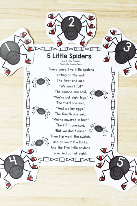 Spider Theme Preschool, Preschool Circle Time Songs, Spider Lessons, Spiders Preschool, Forest Animals Preschool, The Very Busy Spider, Spider Activities, Spider Theme, Circle Time Songs