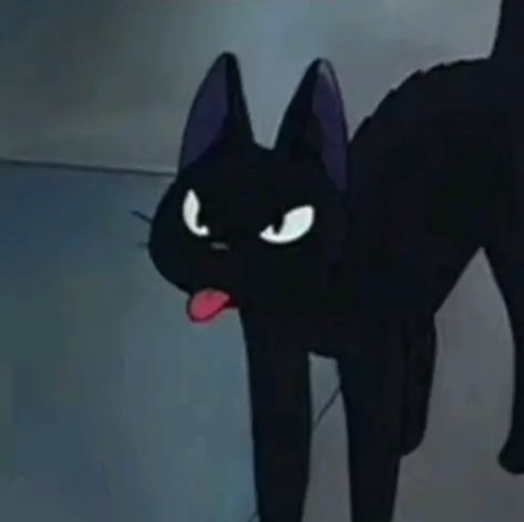 Single Pfp, Cat Pfp, Black Cat, Black