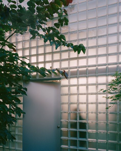 Outbuilding, with Deep Garden by Baracco+Wright Architects - Issue 12 Feature - The Local Project - The Local Project Concrete Block House, Glass Blocks Wall, Garden Stand, Architectural Section, Glass Block, Glass Facades, Urban Oasis, Glass Blocks, Growing Family