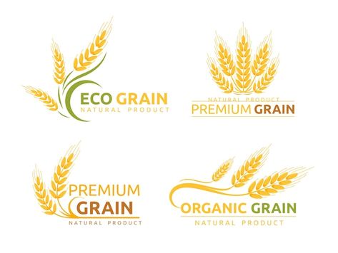 Grain Logo Design, Barley Rice, Dessert Logo, Organic Cereal, Infographic Design Process, Wheat Design, Logo Design Set, Food Banner, Food Logo Design