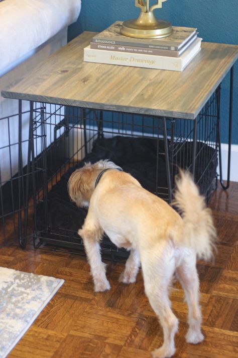 Easy Build: Dog Crate Side Table Dog Cage Top Diy, Diy Wood Top For Dog Crate, Dog Crate Table Top Diy, Build Dog Crate, Dog Crate Topper Diy, Dog Crate Side Table, Dog Kennel End Table, Crate Side Table, End Table Plans