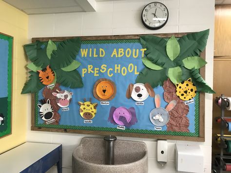 Wild about preschool bulletin board #Animals #bulletinboard #preschool Animal Theme Display Board, Zoo Themed Bulletin Boards, Zoo Animal Bulletin Board Ideas, Wild Animals Bulletin Board Ideas, Animal Bulletin Board Ideas Preschool, Wild Animal Bulletin Board Ideas, Wild About Learning Bulletin Board, Zoo Bulletin Board Ideas Preschool, Jungle Bulletin Board Ideas