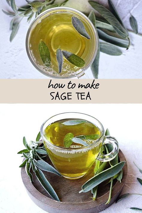 sage tea, herbal tea Homemade Tea Blends, Medicinal Tea Recipes, Herbal Tea Recipes, Sage Benefits, Herbal Tea Remedies, Sage Recipes, Tea Remedies, Sage Tea, Sage Plant