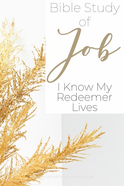 I Know My Redeemer Lives, Job Bible Study, Unshakable Faith, Job Bible, Sermon Ideas, Bible Journals, Bible Studies For Beginners, Spiritual Nature, When He Says