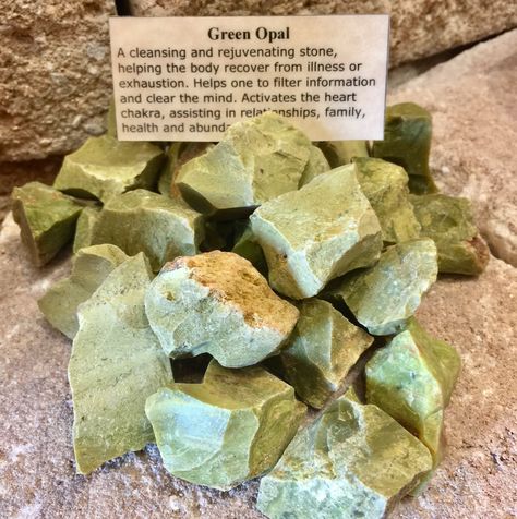 New Arrival! ✨"Crystal of the Day"✨ Raw Green Opal~ A cleansing and rejuvenating stone, helping the body recover from illness or exhaustion. Helps one to filter information and clear the mind. Activates the heart chakra, assisting in relationships, family, health and abundance. #greenopal #cleansing #rejuvenating #recover #clearthemind #heartchakra #relationships #family #health #abundance #gemstones #crystalsorlando #gypsyherbshop Green Opal Crystal Meaning, Green Opal Meaning, Opal Crystal Meaning, Crystal Encyclopedia, Health Abundance, Crystals Collection, Crystal Seashells, Herb Shop, Energy Therapy