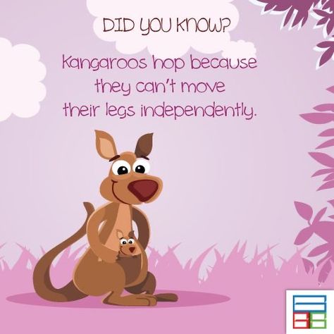 Kangaroo Facts, Australia Fun Facts, Animal Facts For Kids, Nature Facts, Lunchbox Jokes, Fun Facts For Kids, Dental Fun, Fun Facts About Animals, Fun Fact Friday