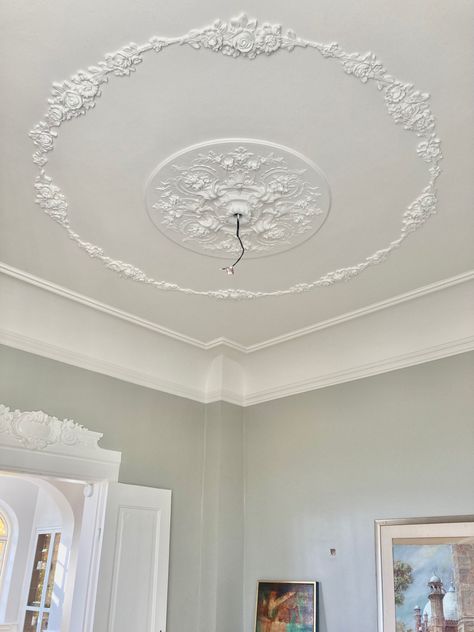 Ceiling French Molding, Molding On Ceiling Ideas, Fancy Crown Molding, Ceiling Plaster Design, Ceiling Molding Design, Moulding Ceiling, Fancy Ceiling, Crown Molding Vaulted Ceiling, Ceiling Rosette