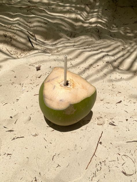 Coconut on sand Coconut Tropical Aesthetic, Coconut Photography, Vintage Brazil, Punta Cana Beach, Earthy Vibes, Coconuts Beach, Inspiration Illustration, Brand Aesthetic, Pinterest Design