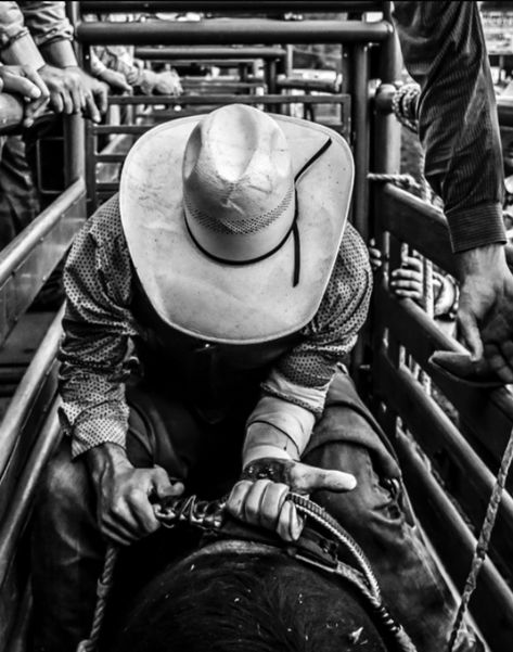 Country Life Aesthetic, Rhett Eaton, Chestnut Springs Series, Pbr Bull Riding, Arte Cowboy, Cowboy Photography, Chestnut Springs, Elsie Silver, Country Backgrounds