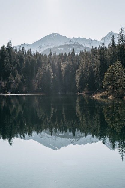 Lake surrounded by mountains and forests... | Free Photo #Freepik #freephoto #tree Lake In Mountains, Mountain Lake Aesthetic, Mountain Forest Aesthetic, Forest Lake Aesthetic, Lake In A Forest, Forest Lake Painting, Mountains With Lake, Forest With Mountains, Lake In The Woods