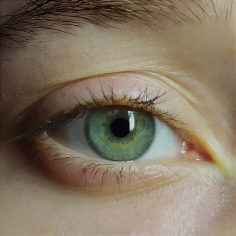 Emerald Green Eyes Aesthetic, Green Eyes Aesthetic Girl, Jade Green Eyes, Green Eyes Aesthetic, Color Verde Esmeralda, Emerald Green Eyes, Mood Gif, Rare Eyes, Eyes Aesthetic