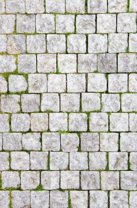 Stone pavement. With green grass. Texture or background , #affiliate, #green, #pavement, #Stone, #background, #Texture #ad Green Grass Texture, White Bricks, Paving Texture, Grass Texture, Stone Pavement, Street Building, Stone Decoration, Floor Texture, Desain Lanskap