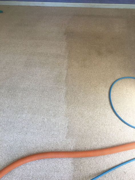 we offer residential as well as commercial cleaning service for heavily stained carpet that requires specialised industrial stain remover. Book for our services and get the best services at the most affordable prices. Carpet Cleaning Hacks, Cheap Carpet, Commercial Cleaning Services, Carpet Cleaning Service, Best Carpet, Commercial Cleaning, Carpet Cleaning, Cleaning Upholstery, Local Business