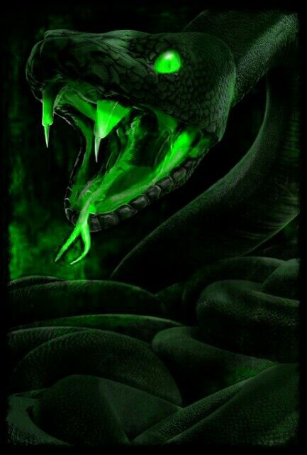 Neon Green Snake Aesthetic, Snake Aesthetic Green, Nefarian Serpine, Green Snake Wallpaper, Green Snake Aesthetic, Green Viper Snake, Snake Pfp, Dark Green Snake, Snake Aesthetic