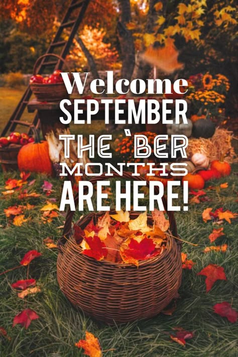 Autumn To Do List, The Ber Months, Ber Months, Fall Humor, Fall Months, Fall Mood Board, Autumn Scenery, Welcome Fall, Harvest Season