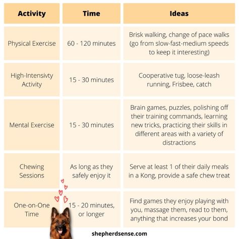 German Shepherd Puppy Essentials, German Shepherd Tips, Training German Shepherd Puppies, German Shepard Training, German Shepherd Toys, German Shepherd Food, Training German Shepherd, Lacrosse Training, Gsd Training