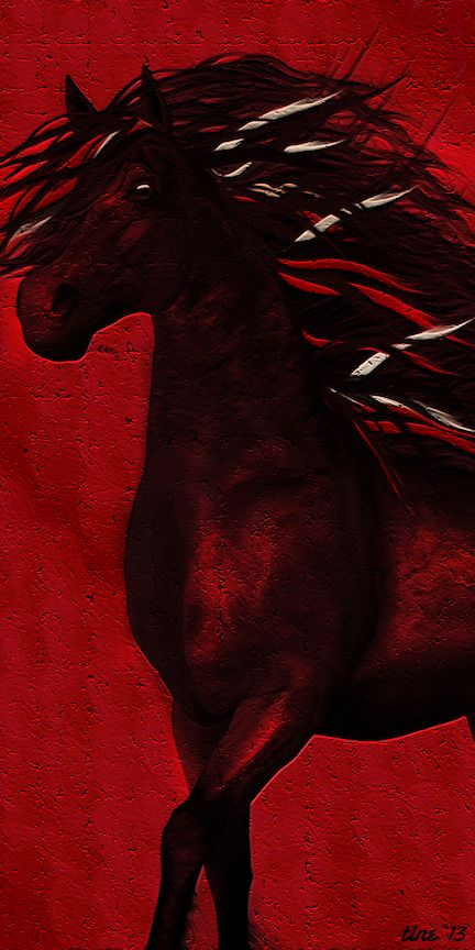 . Diamond Cowgirl, Chariots Of Fire, Horse Mane, Red Images, Red Horse, Red Shades, Fire Image, Horse Aesthetic, Red Wall