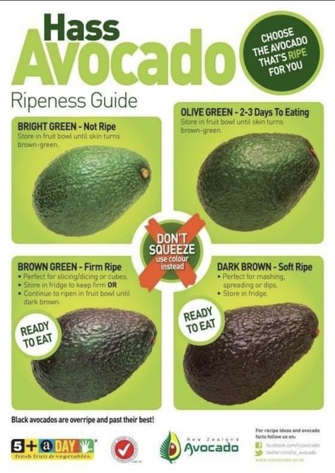 Avocado Facts, Fruit Hacks, The Whoot, Food Info, Cooking Basics, Ripe Avocado, Avocado Recipes, Food Facts, Baking Tips