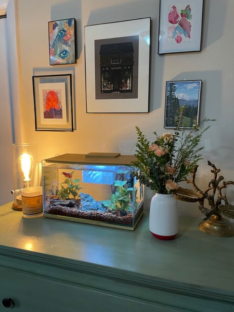 Fish In Room Aesthetic, Room Ideas With Fish Tanks, Pretty Betta Fish Tank Ideas, Aesthetic Betta Tank, Fish Setup Ideas, Fish Tank In Bedroom Ideas, Fish Tank On Dresser, Small Tropical Fish Tank, Fish Tank In Room Aesthetic