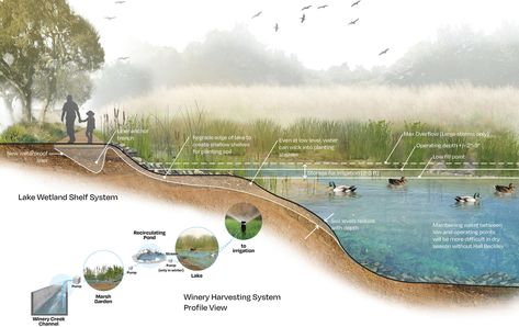 Masterplan Architecture, Landscape Diagram, Descanso Gardens, California Native Garden, Landscape Design Drawings, Landscape Architecture Drawing, Architecture Portfolio Design, Architecture Concept Diagram, Water Pond