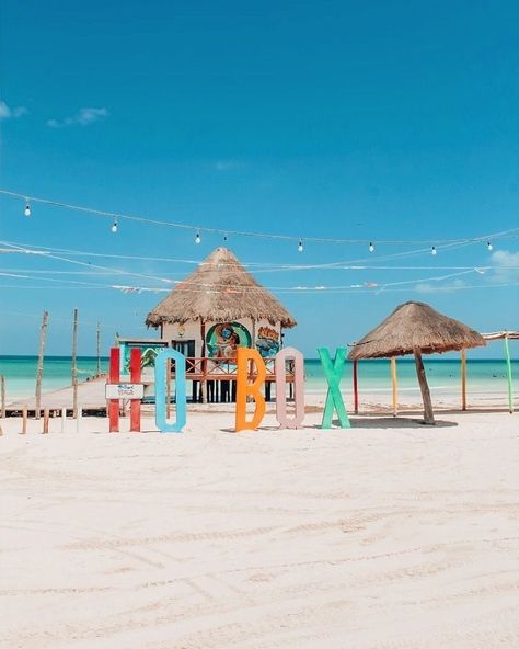 Holbox Island Mexico, Holbox Island, Forest Falls, Cancun Trip, Mexican Beaches, Mexico Travel Guides, Mexico Beach, Vacation Video, I Am Back