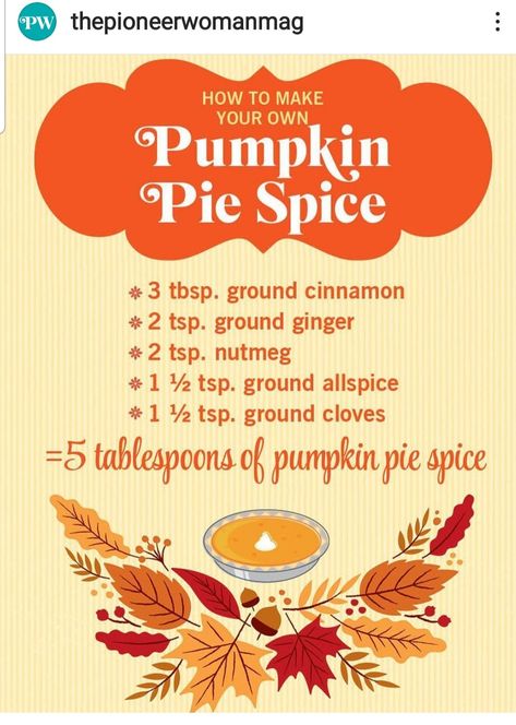 Pioneer Woman Pumpkin Pie, Pumpkin Pie Pioneer Woman, Homemade Cake Mixes, Pumpkin Pie Spice Recipe, Flavored Vinegars, Pie Spice Recipe, Coffee Creamer Recipe, Spice Blends Recipes, Creamer Recipe