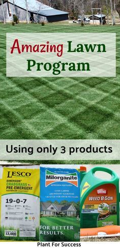 Southern Lawn Care, Fall Fertilizer For Lawn, Spring Lawn Care For Beginners, Grass Fertilizer Green Lawn, Diy Lawn Decor, Killing Weeds In Lawn, Lawn Fertilizer Schedule, Lawn Design Ideas, Diy Lawn Care