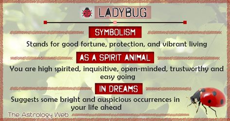 Ladybug Meaning and Symbolism | The Astrology Web What Do Ladybugs Symbolize, Ladybird Symbolism, Ladybug Spirit Animal, Ladybug Symbolism, Ladybug Face Paint, Ladybug Meaning, Animal Totem Spirit Guides, Lady Bug Painted Rocks, Ladybug Quotes