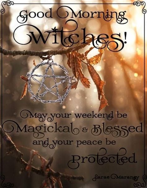 Good Morning Witches, Salem Village, Witch Pictures, Witch Quotes, Witch Stuff, Witchcraft Spell Books, Special Pictures, Spells Witchcraft, Witchy Woman