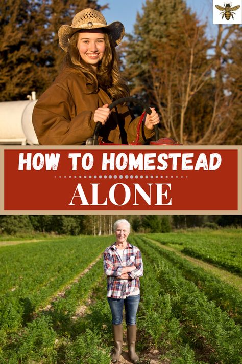 Wooded Homestead, Winter Homesteading, Homesteading Goals, Homesteading Aesthetic, Homestead Lifestyle, Homestead Gardening, Homesteading Tips, Hobby Farming, Modern Homesteading