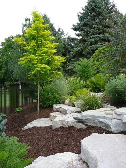 Easy Ideas for Landscaping with Rocks Garden With Rocks, Large Yard Landscaping, Ideas Jardin, Conifers Garden, Grasses Landscaping, Easy Landscaping, Backyard Landscape, Rock Garden Landscaping, Have Inspiration