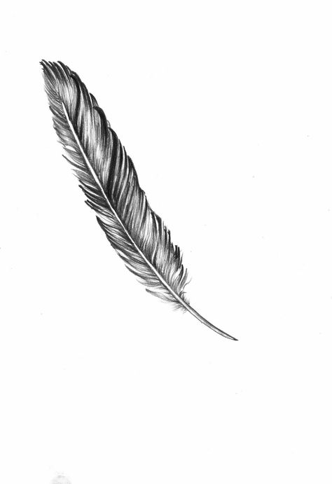 Feather around or beside pocket watch. Plume Tattoo, Feather Tattoo For Men, Quill Tattoo, Tattoo Feather, Feather Drawing, Feather Tattoo Design, Line Art Tattoos, Feather Tattoo, Feather Tattoos