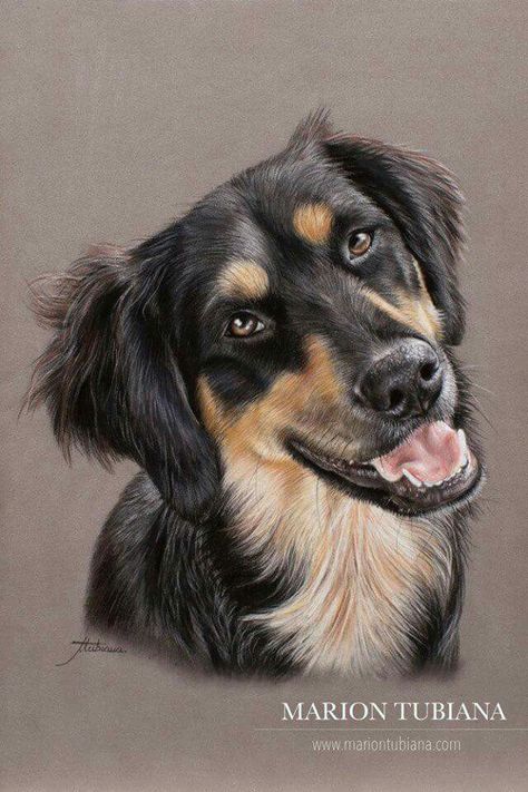 Tatoo Dog, Dog Portrait Drawing, Realistic Animal Drawings, Pet Portraiture, Dog Portraits Art, Dog Anatomy, Canine Art, Dog Illustration, Realistic Art