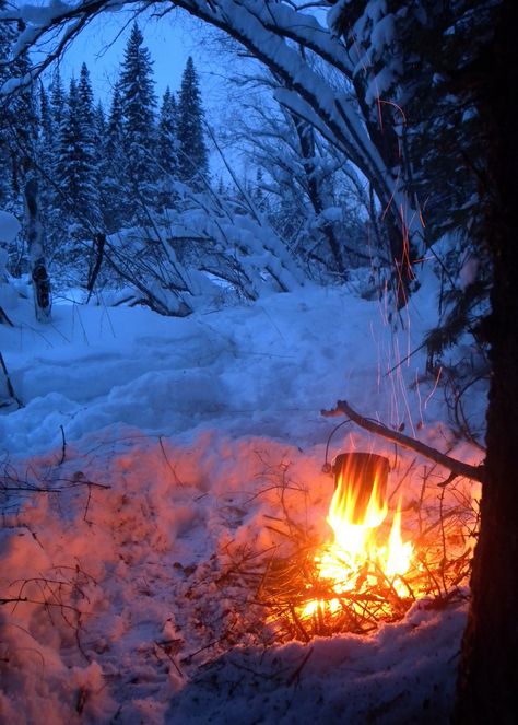 Winter Fire, Snowy Forest, I Love Winter, Winter Love, Winter Magic, Winter Camping, Winter Scenery, Winter Beauty, Snow Scenes