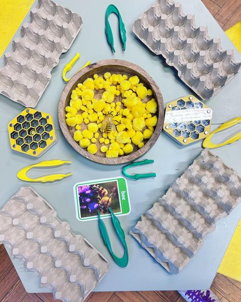 🐝 We love bees! A great fine motor activity and a super simple set up! #bees #eyfs #earlymaths #finemotorskills #earlyyears #eggbox Yellow Eyfs Activities, Bee Activities Eyfs, Bees Eyfs, Fine Motor Activities Eyfs, Eyfs Nursery, Bee Farming, Transition Activities, Mini Beasts, Bee Activities